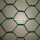 1/2 &#39;&#39; PVC Coated Hexagonal Wire Netting